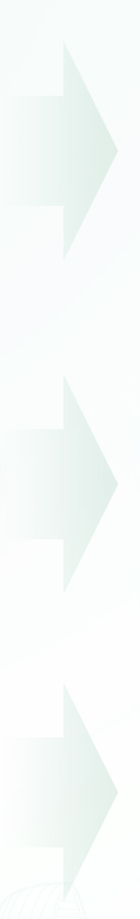 三亞鼎晨房地産咨詢有限公司