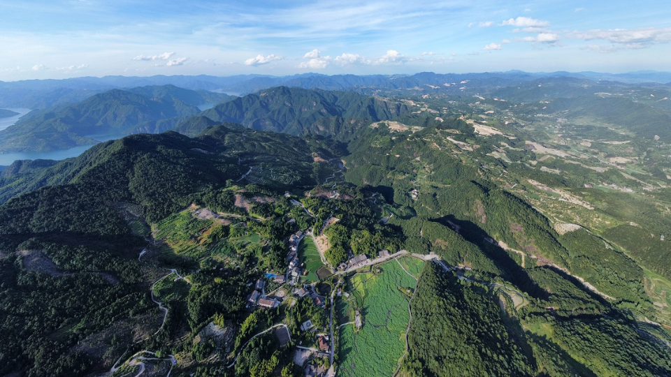 三亞鼎晨房地産咨詢有限公司