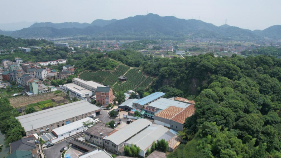 三亞鼎晨房地産咨詢有限公司