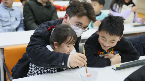 三亞鼎晨房地産咨詢有限公司